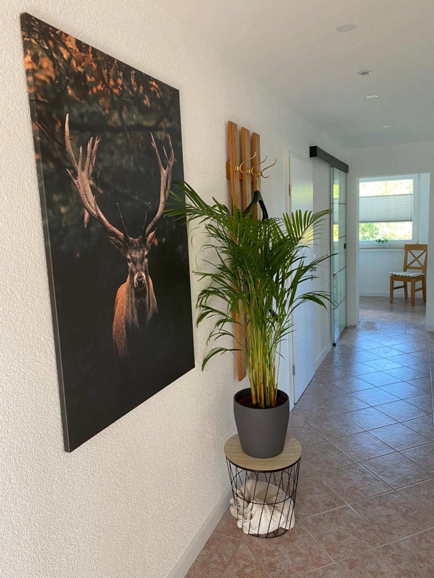 Muesen, Nah An Der Apartment